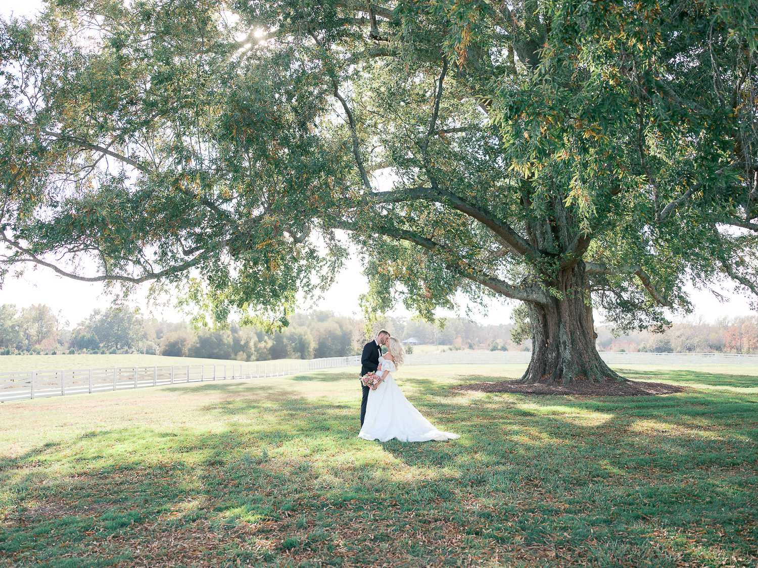 Bride and groom under a large oak tree during their romantic outdoor wedding at Northfield Estate in Charlottesville, Virginia