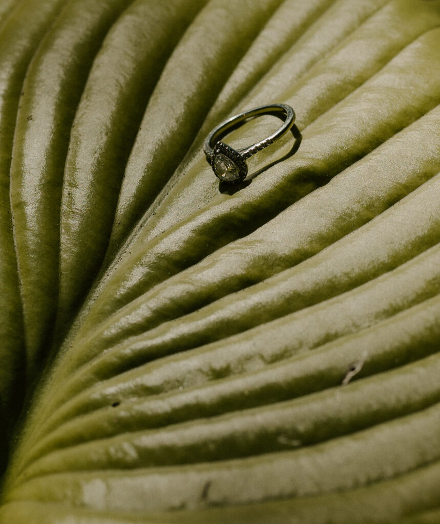 Palm leaf details