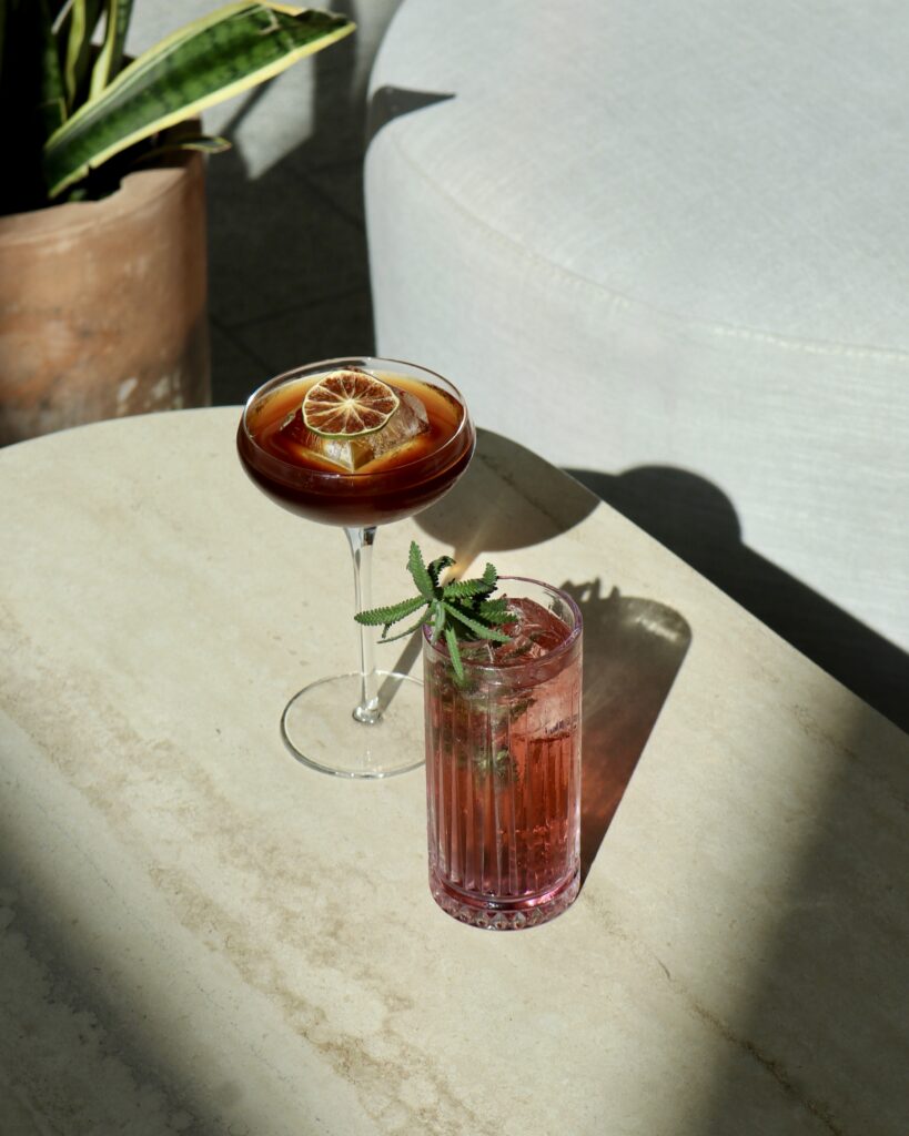 Cocktail Aesthetic 