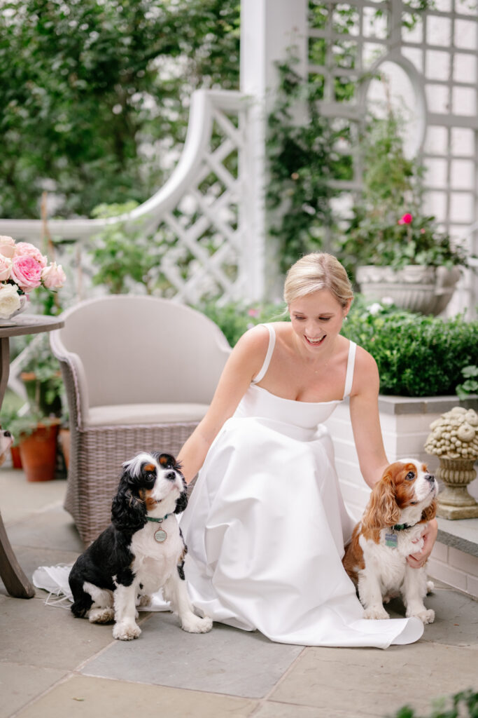 Bride with dogs